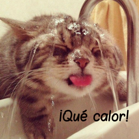 calor