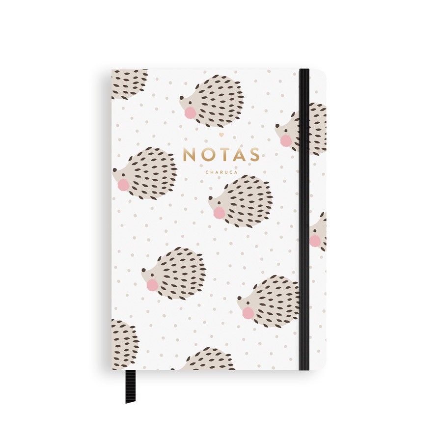 libreta-erizos charuca