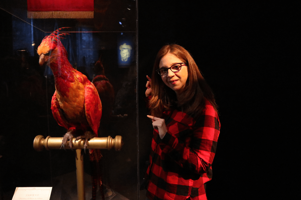 exhibicion harry pottter madrid