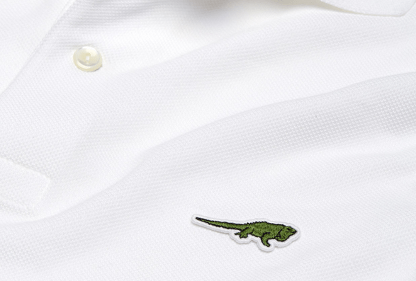polo lacoste ed limitada
