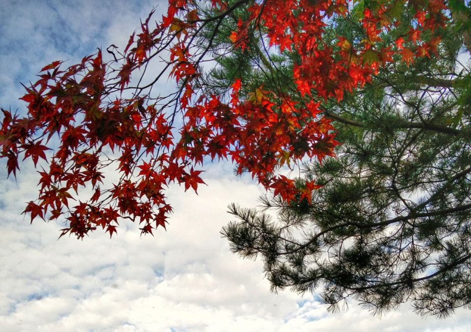 autumn